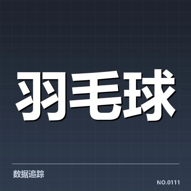 羽毛球队新任教练调整：队伍未来走向仍存不确定性